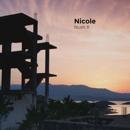Album cover of Nicole