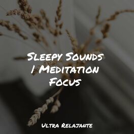 Album cover of Sleepy Sounds | Meditation Focus