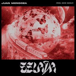 Album cover of SELADÁ