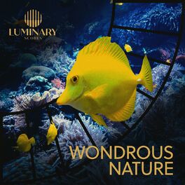 Album cover of Wondrous Nature