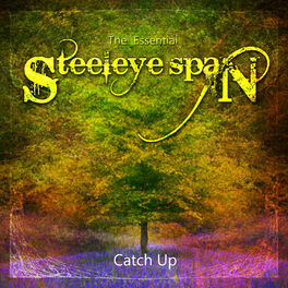 Album picture of The Essential Steeleye Span: Catch Up