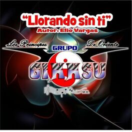 Album cover of Llorando Sin Ti