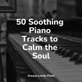 Album cover of 50 Soothing Piano Tracks to Calm the Soul