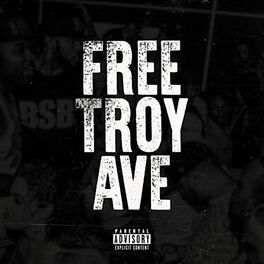 Album cover of Free Troy Ave