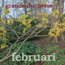 Album cover of Februari