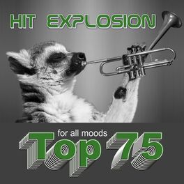 Album cover of Hit Explosion: Top 75 for All Moods