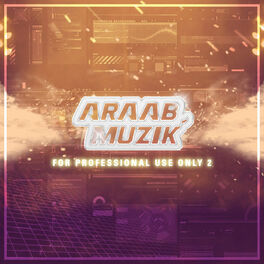 Album cover of For Professional Use Only 2