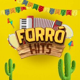 Album cover of Hits Forró