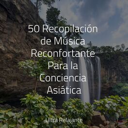 Album cover of 50 Sonidos Primaverales de la Naturaleza