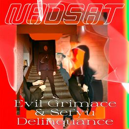 Album cover of Délinquance