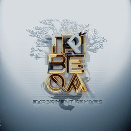 Album cover of Experiment Remixes
