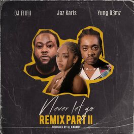 Album cover of Never Let Go Remix Part II