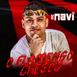 Album cover of O Flamengo Chegou