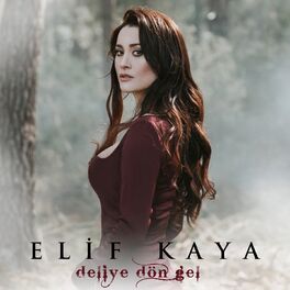 Album cover of Deliye Dön Gel