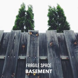 Album cover of Basement