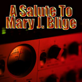 Album cover of A Salute To Mary J. Blige