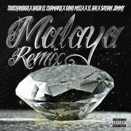 Album cover of Malaya (Remix)