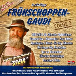 Album cover of A zünftige Frühschoppen-Gaudi - Folge 2