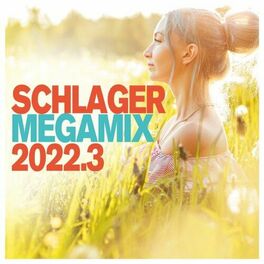 Album cover of Schlager Megamix 2022.3