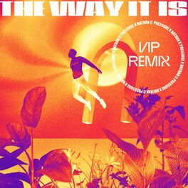 Album cover of The Way It Is (VIP Mix)