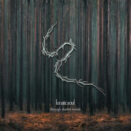 Album cover of Through Shaded Woods