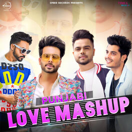 Album cover of Punjabi Love Mashup - Single