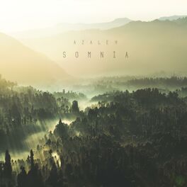 Album cover of Somnia