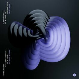 Album cover of Tripchain / Scanalatura
