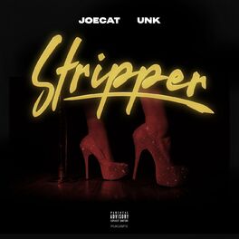 Album cover of Stripper