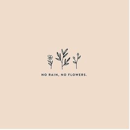 Album cover of NO RAIN, NO FLOWERS.