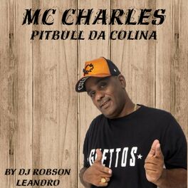 Album cover of Pitbull da Colina