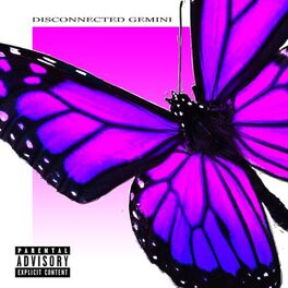 Album cover of disconnected gemini
