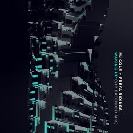 Album cover of Waking Up (VIP Extended Mix)