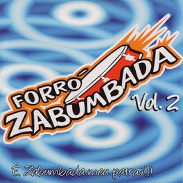 Album cover of É Zabumbada Meu Patrão, Vol. 2