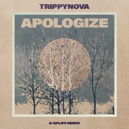 Album cover of Apologize (G-Spliff Remix)