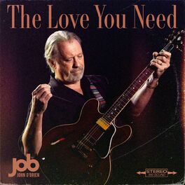 Album picture of The Love You Need