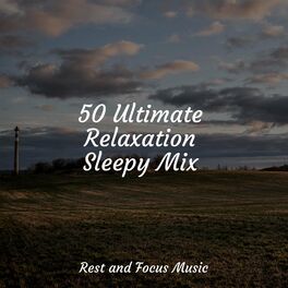 Album cover of 50 Ultimate Relaxation Sleepy Mix