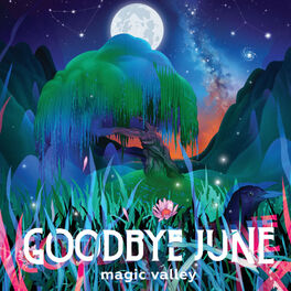 Album cover of Magic Valley
