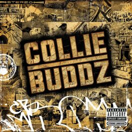 Album cover of Collie Buddz