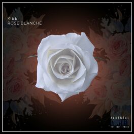 Samba clearance rose blanche