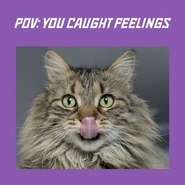 Album cover of pov: you caught feelings