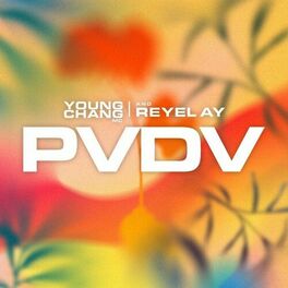 Album cover of PVDV