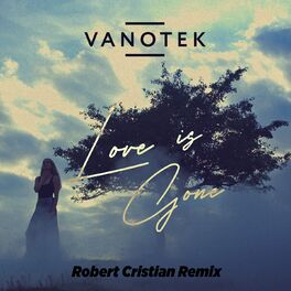 Album cover of Love Is Gone (Robert Cristian Remix)