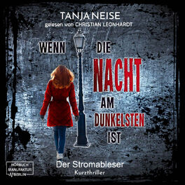 Album cover of Der Stromableser - Wenn die Nacht am dunkelsten ist, Band 2 (ungekürzt)