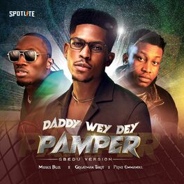 Album cover of Daddy Wey Dey Pamper (Gbedu Version)