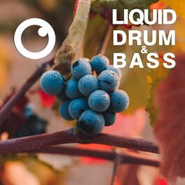 Album cover of Liquid Drum & Bass Sessions 2021 Vol 42 : The Mix