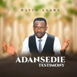Album cover of Adansedie