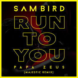 Album cover of Run To You (Majestic Remix)