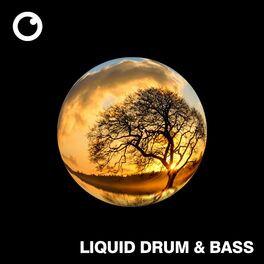 Album cover of Liquid Drum & Bass Sessions #57