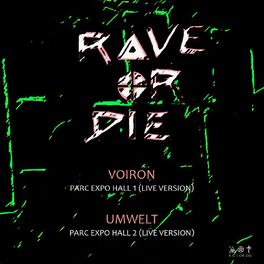 Album cover of Rave or Die 02 (Live Version)